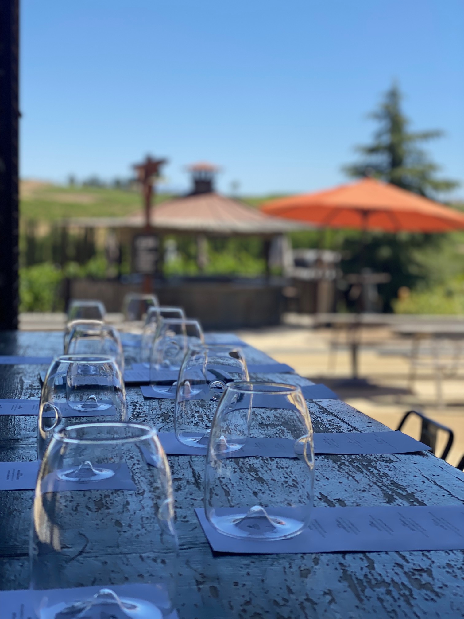 Mezcal Journeys